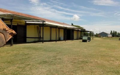 Reacondicionamiento y extensión de galería