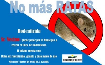 No más ratas