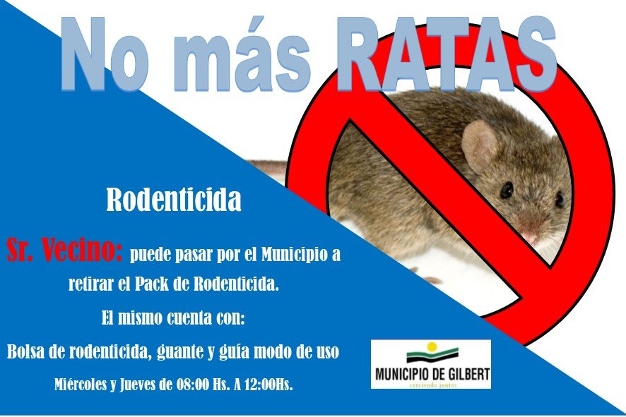 No más ratas