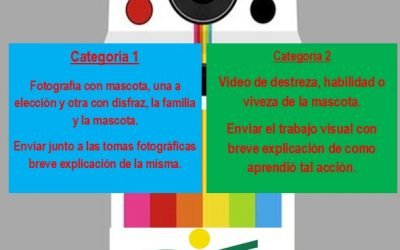 Concurso fotográfico