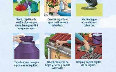 CAMPAÑA PREVENTIVA CONTRA EL DENGUE