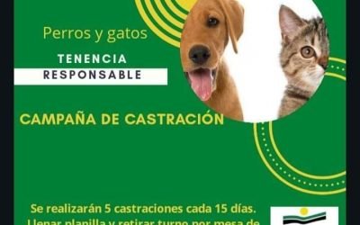 CAMPAÑA DE CASTRACIÓN