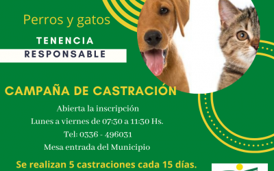 CAMPAÑA DE CASTRACIÓN “TENENCIA RESPONSABLE DE PERROS Y GATOS”