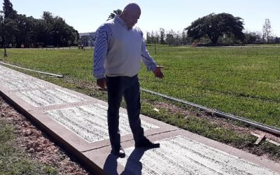 NUEVA OBRA DE RECONSTRUCCION DE LA SENDA PEATONAL DE LA PISTA DE LA SALUD