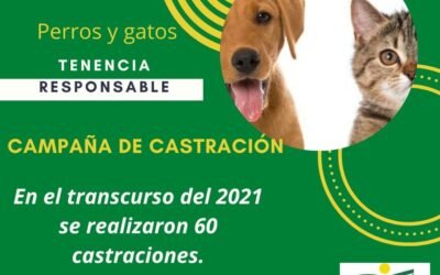 Compartimos información del Área de Medio Ambiente.