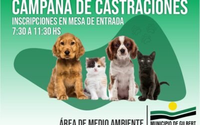 CAMPAÑA MUNICIPAL DE CASTRACIONES DE PERROS Y GATOS