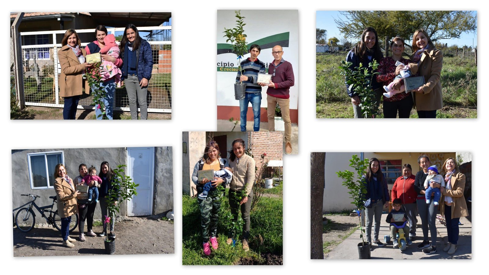 ENTREGA DE UN ÁRBOL POR CADA NACIMIENTO