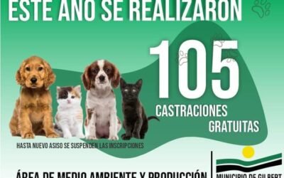 CASTRACIONES DE CANINOS Y FELINOS REALIZADAS EN 2022