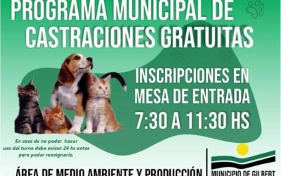 🐾PROGRAMA MUNICIPAL DE CASTRACIONES DE PERROS Y GATOS