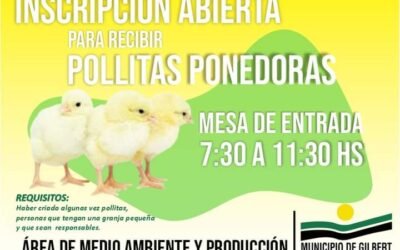 INSCRIPCIÓN ABIERTA PARA RECIBIR POLLITAS PONEDORAS