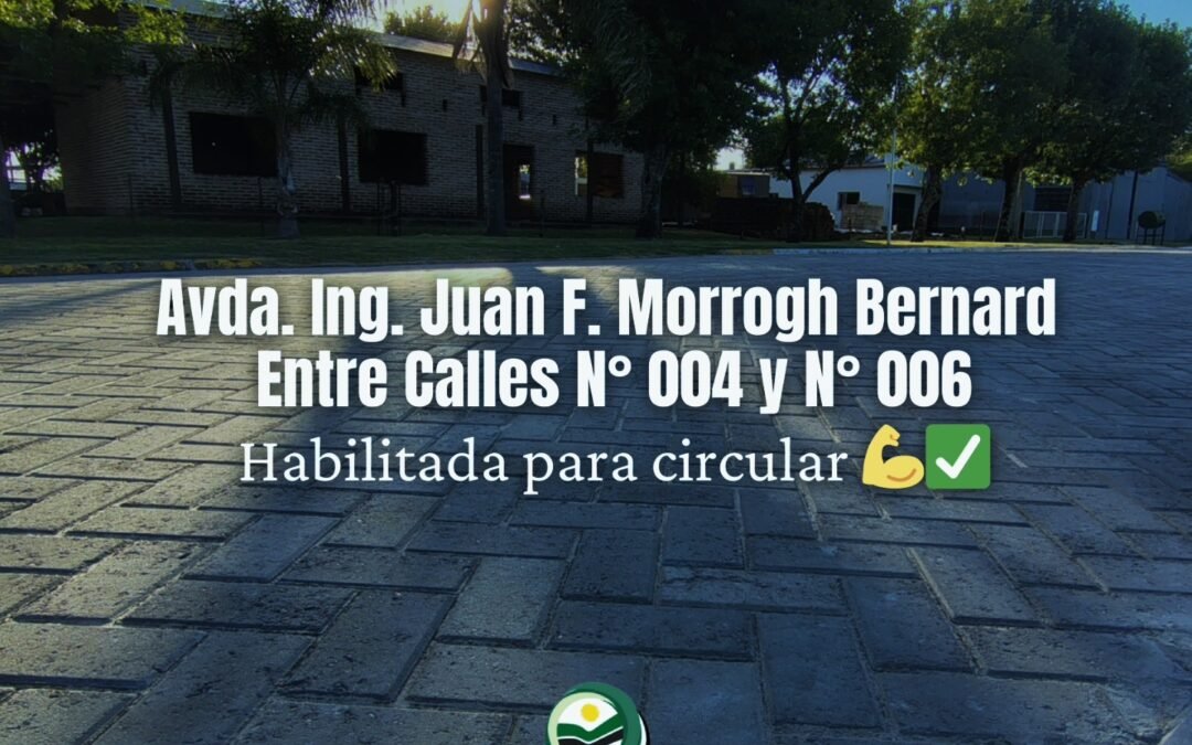 𝗬𝗮 𝗽𝗼𝗱𝗲́𝘀 𝗰𝗶𝗿𝗰𝘂𝗹𝗮𝗿 𝗽𝗼𝗿 𝗹𝗮 𝗔𝘃𝗱𝗮. 𝗠𝗼𝗿𝗿𝗼𝗴𝗵 𝗕𝗲𝗿𝗻𝗮𝗿𝗱 🛣️🙌