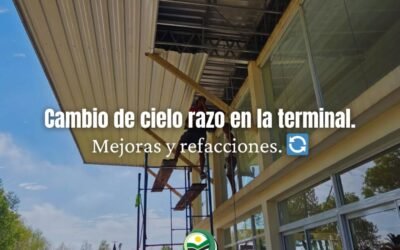 𝗠𝗘𝗝𝗢𝗥𝗔𝗦 𝗘𝗡 𝗟𝗔 𝗧𝗘𝗥𝗠𝗜𝗡𝗔𝗟 𝗗𝗘 𝗢́𝗠𝗡𝗜𝗕𝗨𝗦